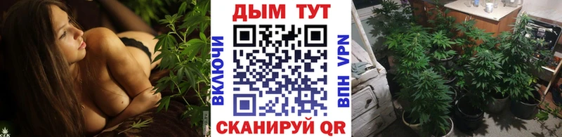 ОМГ ОМГ   Чехов  Бошки марихуана Ganja 